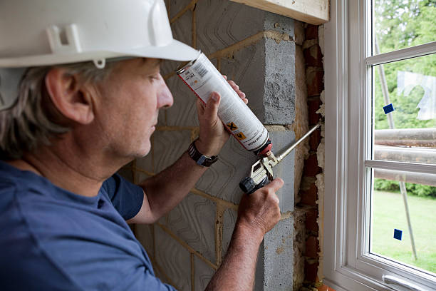 Best Cellulose Insulation  in Galesville, WI